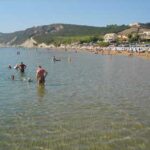 arillas