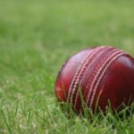 cricket ball 2