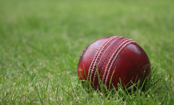 cricket ball 2
