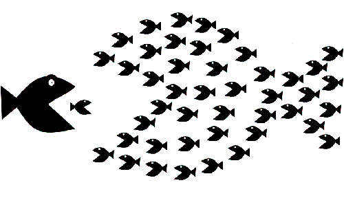 bigfishlittlefish