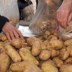 dianomipatatas