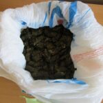 narkotika1