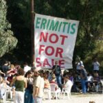 erimitis 211012 a