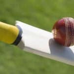 cricket pata