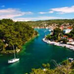 PAXOI4