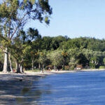 dassia beach