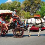 amaxa corfu