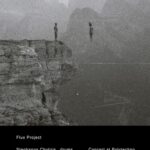 flux project