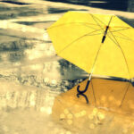 umbrella rain