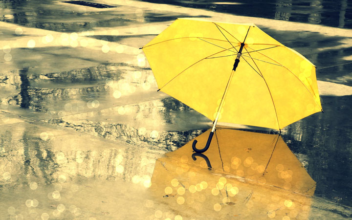 umbrella rain