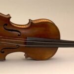 violi