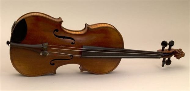 violi