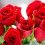 significado-de-las-flores1