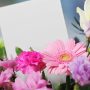 beautiful-blank-bloom-blooming-267360