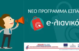 e-lianiko