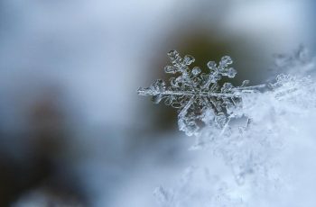 aaron-burden-5AiWn2U10cw-unsplash