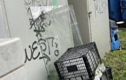 SANROCCO 2 11-3-2023