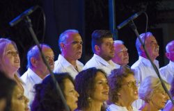 IMG_4245